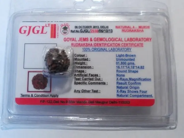 Rudraksha certificata - 4 Mukhi 1,8 gr