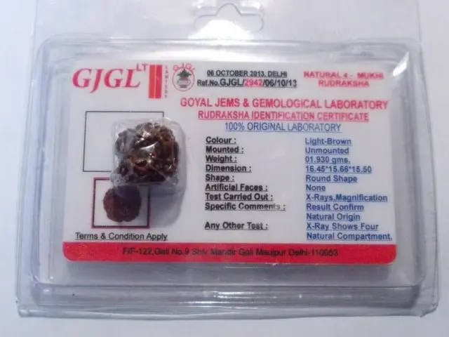Rudraksha certificata - 4 Mukhi 1,93 gr